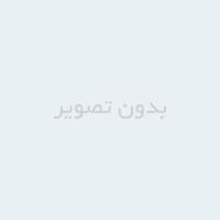 100 فالب و الگوی آماده برای تولید محتوا و تبلیغ نویسس